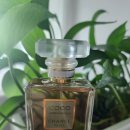 샤넬 도시적인 향 코코마드모아젤 오 드 빠르펭 향수 후기 Coco Mademoiselle Eau de Perfum