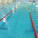 단양군청소년수련관 수영장 이미지