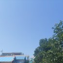 카페디레마 | 군산 3박 4일 여행 :: 여유롭게 천천히, 그렇지만 여기저기 놀다왔어요!