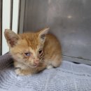 SK엔크린 SK강변주유소 이미지