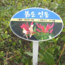 목화공원3 이미지
