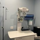 신세계동물의료센터 이미지