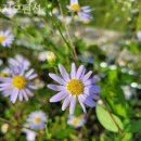 지오1펜션 이미지