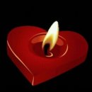 아침이슬2016_1 이미지