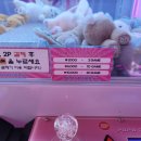 킹 뽑기방 이미지