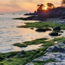 비봉화석지 화장실 이미지