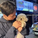 맛끌림농원 | 29기영호 오리집 위치 본명 인스타그램 경찰 토종생오리농원