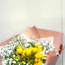 후리지아 이미지