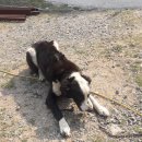 향일암로 이미지