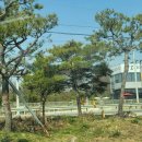 조형주유소 이미지