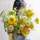 플레르다솔
