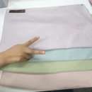 컬러바이조