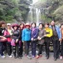 연평초교 이미지