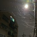 코코&꿀돼지 이미지