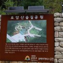 호암산 Daum카페