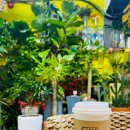 신자초등학교앞 이미지