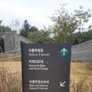 이순신 묘 | 이순신장군 묘