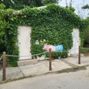 도고목장 이미지