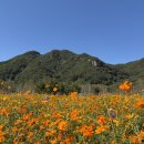 재인폭포공원 주차장 이미지