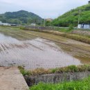 문산읍-5 이미지