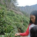 명산차민박 이미지