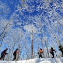 몬트리올 이미지