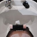 뉴타운동물병원 | 공덕미용실 아이디헤어 아현뉴타운점 송성희 원장님 C컬펌 후기