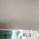 함비자 게스트하우스 이미지