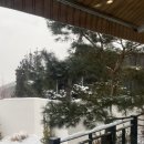 샵스테이 이미지