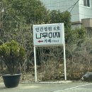 나우커피 진영6호점 | 울산 강아지 동반 카페 나우이제 | 민간정원 정원카페 추천