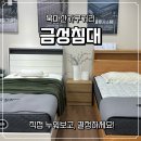 마산합포구 ⓔ-23 | 북마산가구거리 금성침대 마산점 직접 누워본 후기