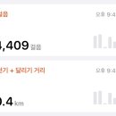 스라소니그래픽