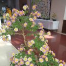 노원구청사 이미지