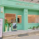 앤애견샵 이미지