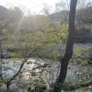 지지벨리유명산오토캠핑장 이미지