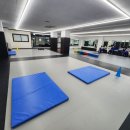 드림바디 유도클럽 괴정관 이미지