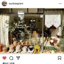 은희네식물