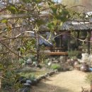 지리산 외갓집 이미지