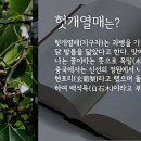 열매한의원 이미지