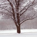 조경기능사(필기) 이미지