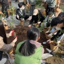 전남자연탐구원 야생화 키우기 프로젝트 운영[미래교육신문] 이미지