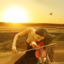 바이올린 이미지