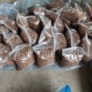 금순농장 이미지