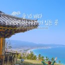 숲 vs 바다 드라마같은 이야기가 있는 곳 #영덕여행 #영해면둘러보기 #겨울바다 #숲여행