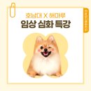 꿈에동물병원 | 동물보건사 꿈꾸는 학생들, 해마루동물병원과 함께한 임상 내과 교육 현장