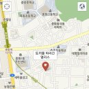 토끼를따라간앨리스