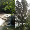 쌍용폭포민박 이미지