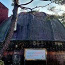 초락당한의원 이미지