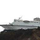 정동진항구회센타 | 정동진항구회센타에서 겨울바다 여행, 대게 식사 후기