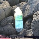 &#39;벌써 10번째&#39;‥제주 해변서 또 차 봉지 마약 이미지